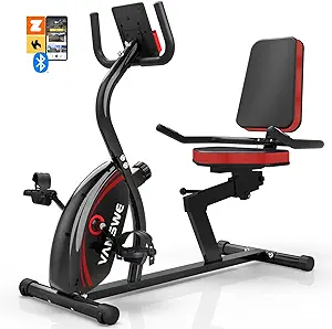 Vanswe Recumbent Exercise Bike